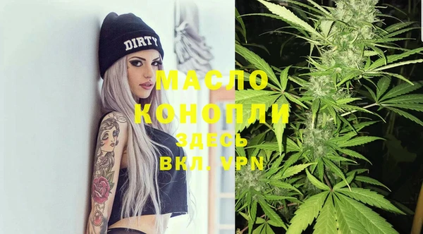 винт Сатка