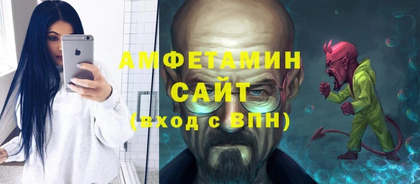 гашик Алексин