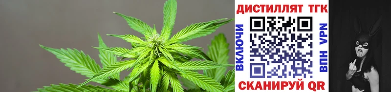 Дистиллят ТГК Wax  как найти наркотики  мега как войти  Кукмор 