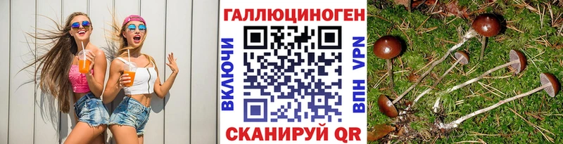 ОМГ ОМГ ссылки  Кукмор  Галлюциногенные грибы прущие грибы 