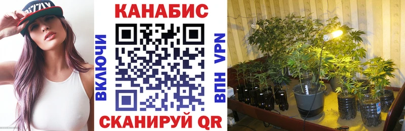 купить наркотик omg зеркало Бошки марихуана Bruce Banner Кукмор